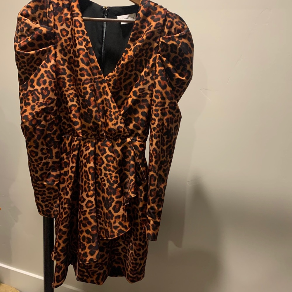 Leopard dress from REVOLVE